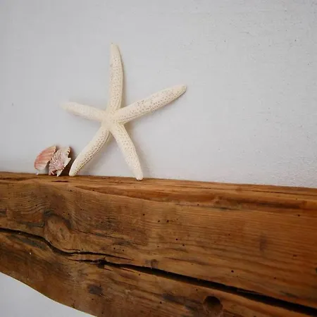 Strandhaus-fehmarn, Captains-deck Direkt Am Apartment *